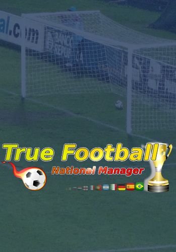 game pic for True football national manager